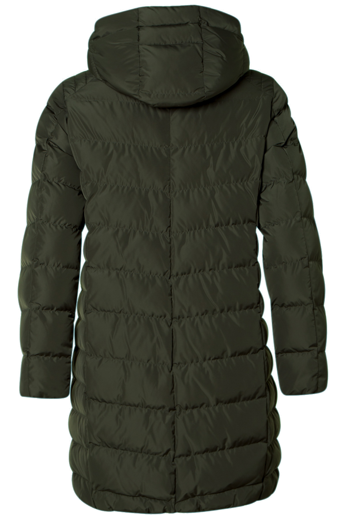 Saki Kappa Patrice 567 Crocodile, bak